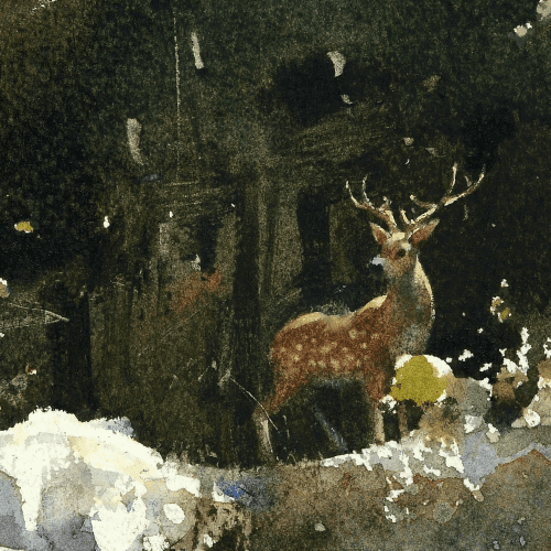 CHIEN ForestReferenceDeer